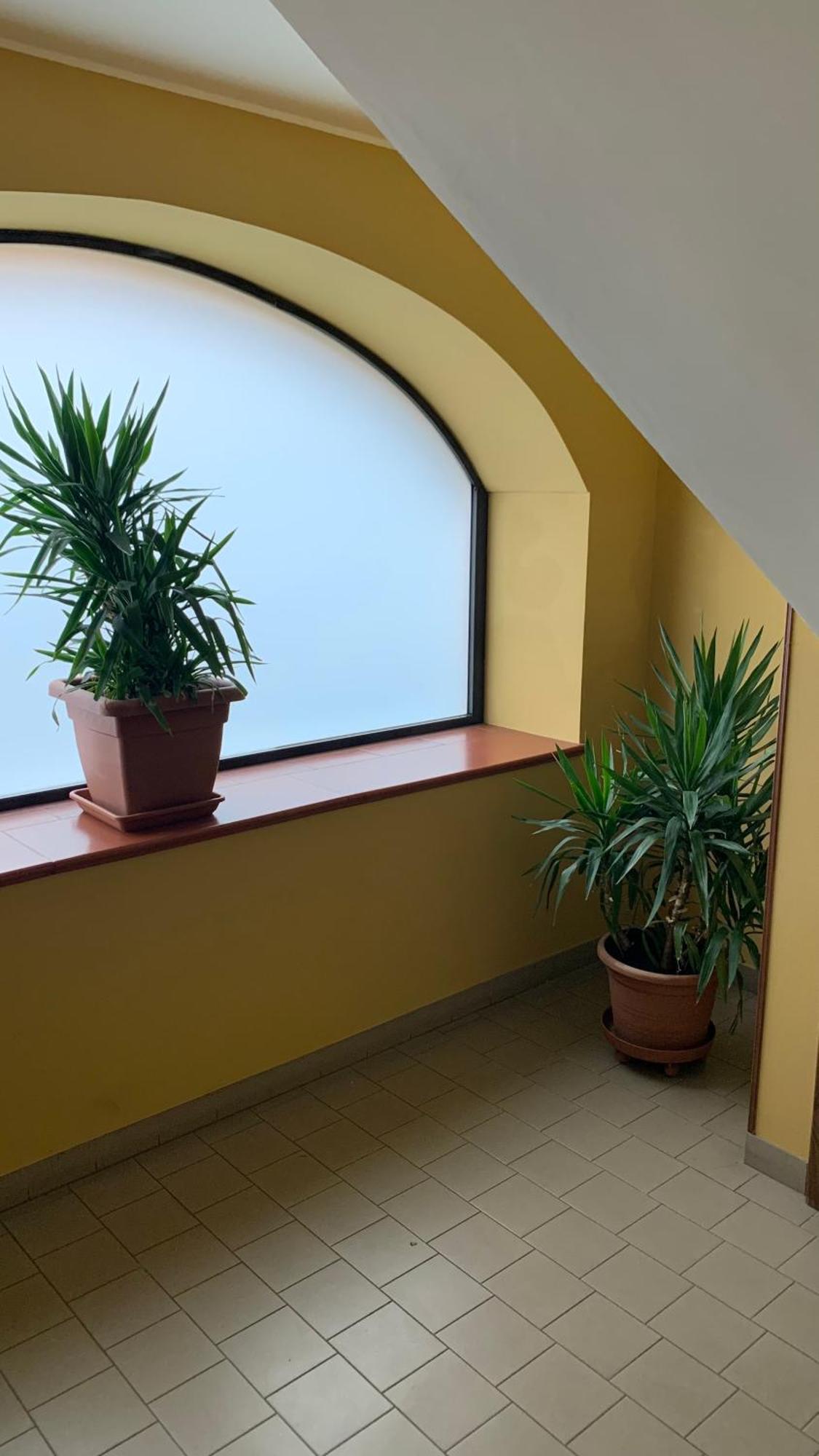 Bb Borgo Biella Tree Villa Candelo Buitenkant foto